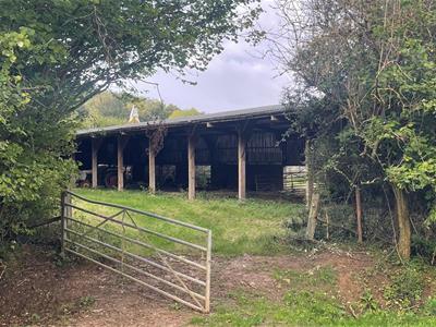 Click to view more details